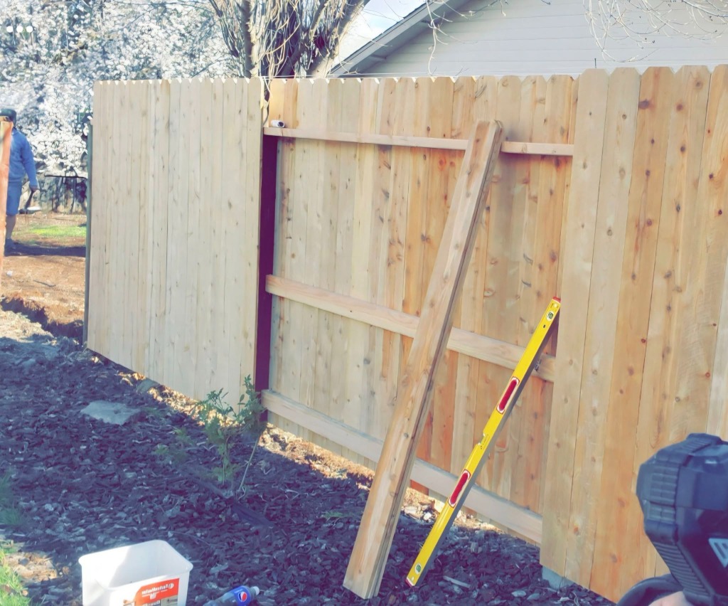 Cedar Fencing Project